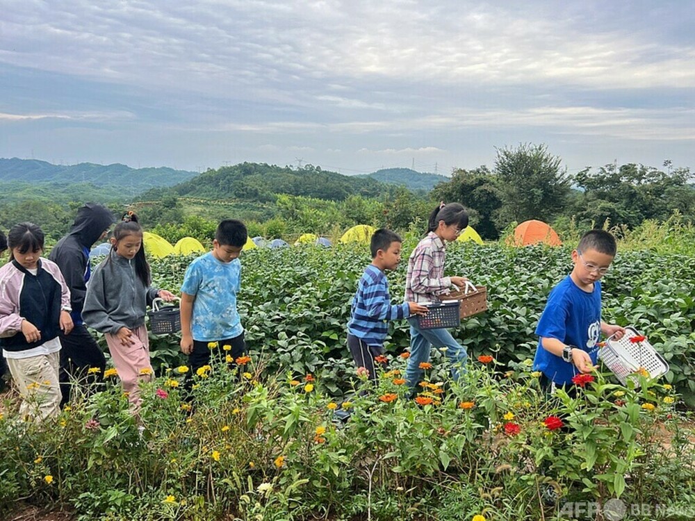 中国長江デルタ地域鉄道 春休みと清明節期間の輸送が旅客2800万人見込み