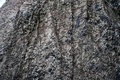 フランツヨシフ諸島のフッカー島の岩ルビニ・ロックの海鳥のコロニー（2021年8月21日撮影）。(c)Ekaterina ANISIMOVA / AFP