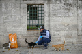 トルコ・イスタンブールの野良猫（2020年4月1日撮影）。(c)Ozan KOSE / AFP