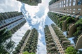 中国四川省成都で、植物に覆われた集合住宅のベランダ（2020年8月3日撮影）。(c)STR / AFP