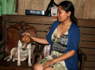 台風で行方不明に、ペット犬と1年ぶりに再会 比