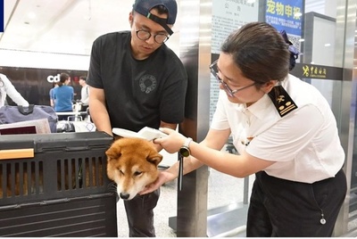 中国初のペット連れ海外旅行者のチャーター機が帰国
