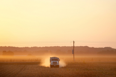 除草剤「アトラジン」が魚の繁殖に悪影響、米研究