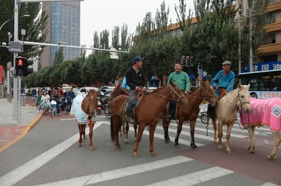 フフホトの路上、馬に乗った人たち現る