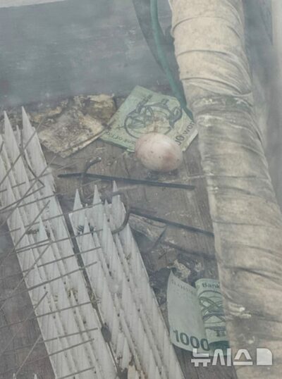 ハトが家賃払った？…韓国・エアコン室外機に残された“2万ウォンと卵”の謎