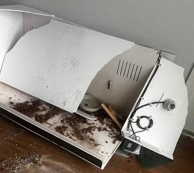 「勉強に集中しろ！」父が壊したトカゲの家…韓国・中学生が涙の投稿「父を恨んでしまう」