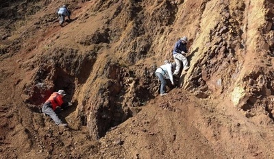 2億年以上前の大量絶滅の時期、科学者が正確に測定 中国