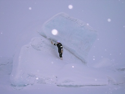 「レッド・アラート」 世界最北端の定住地で気温21度を記録 カナダ