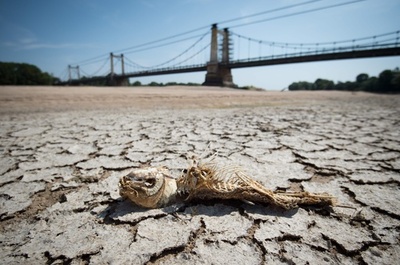 欧州熱波、独など3か国で最高気温を更新