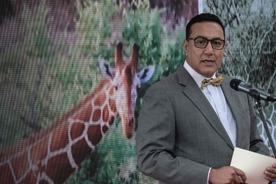 絶滅危惧種キリン、ケニアで初の個体数回復計画が発足