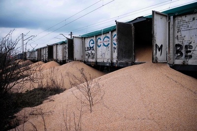 ウクライナ産農作物輸入に抗議か トウモロコシ大量投棄 ポーランド