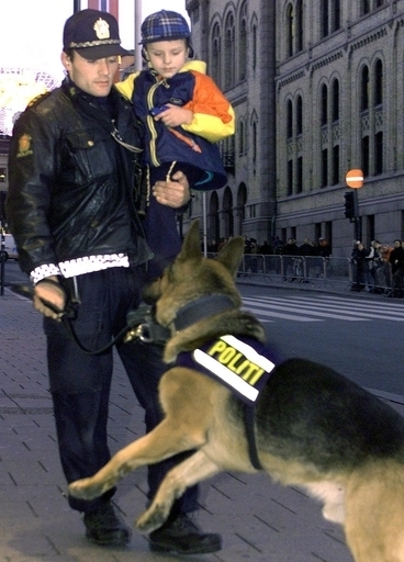 「警察犬は公務員とみなすべき」、ノルウェー最高裁