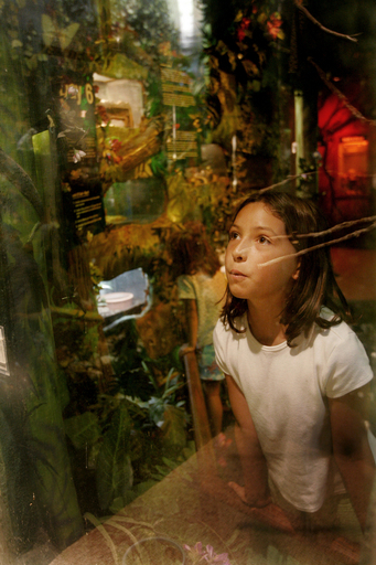 天地創造論も進化論も両方信じる米国人