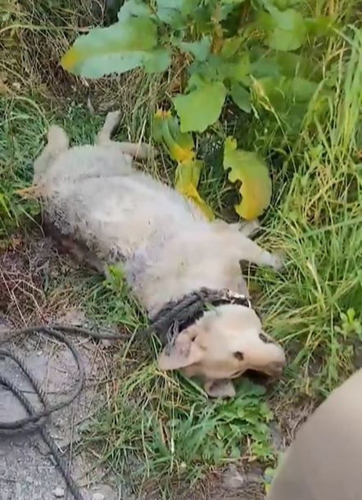 ミソサランインスタグラム(c)NEWSIS