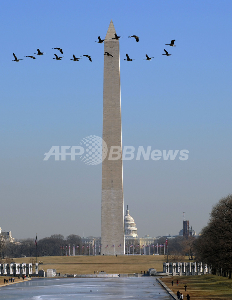 ワシントン記念塔と鳥の群れ 米国 写真2枚 国際ニュース Afpbb News