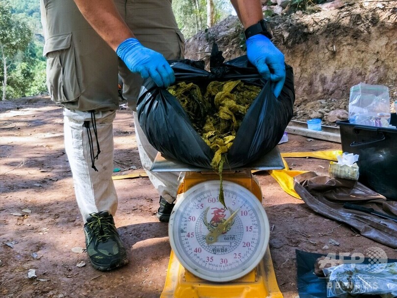 野生のシカの胃から7キロのごみ...レジ袋や下着など タイ