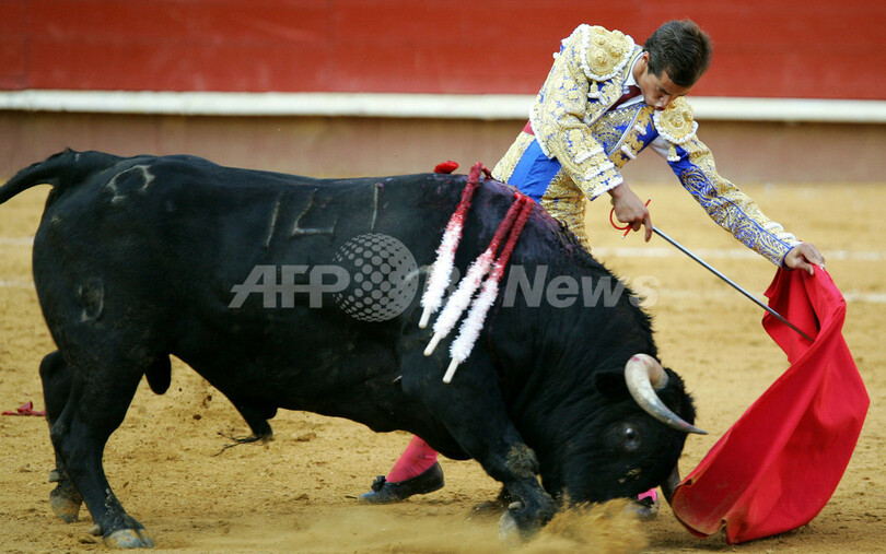 中国人から見たスペインは 闘牛とサッカーの国 スペイン 写真1枚 国際ニュース Afpbb News