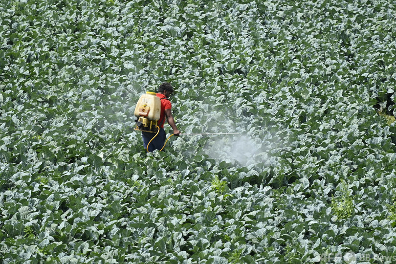 農薬汚染、世界の農地の3分の1に「高い危険性」 豪研究