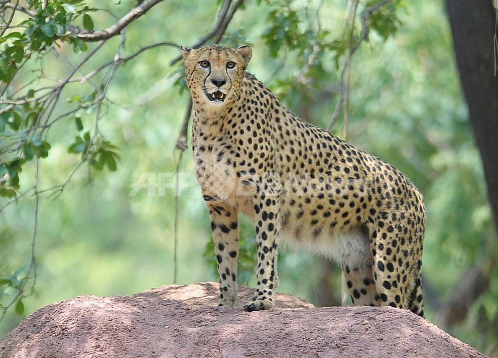 img_f839b8f97ce6e698c6d8643b01