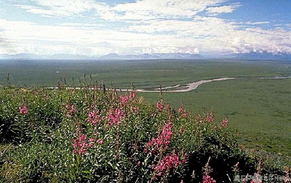 アラスカ野生生物保護区の石油開発計画を一時停止 米政権