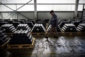 フランス・タルブの工場で生産される、ウクライナ軍も使用している仏製榴弾砲「カエサル」の砲弾（2023年4月4日撮影、資料写真）。(c)Lionel BONAVENTURE / AFP