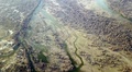 ブグル県のタリム川湿地の空撮写真（2020年4月4日撮影）。(c)CNS/確·胡熱