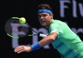 全豪オープンテニス、男子シングルス1回戦。フォアハンドを打つミロス・ラオニッチ（2017年1月17日撮影）。(c)AFP/PETER PARKS