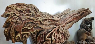 img_f8a030c11297d5d0d06161ef5e