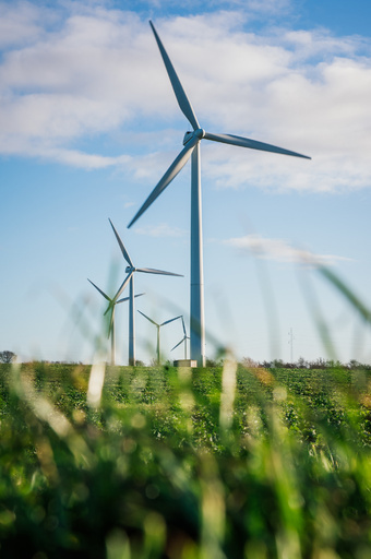 デンマーク、消費電力の半分弱が風力 世界最高を更新