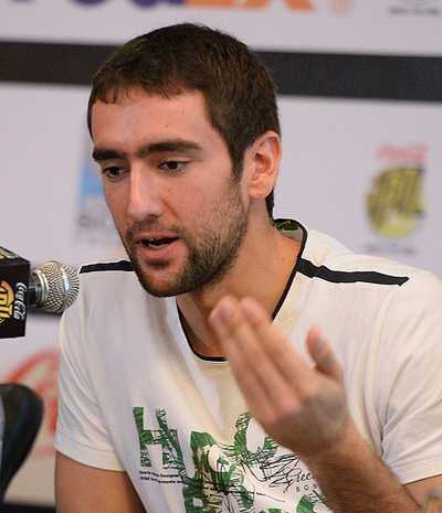 チリッチ、セルビアとのデ杯1回戦を欠場へ