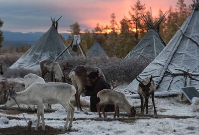 【AFP記者コラム】モンゴルのトナカイ遊牧民を訪ねて