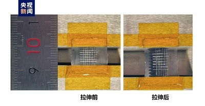 着用可能で弾力性のある強誘電素材の開発に成功 中国科学院