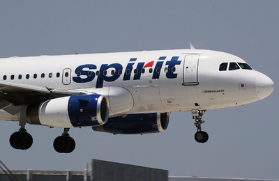 米航空会社に「搭乗拒否」されたハムスター、飼い主にトイレに流される