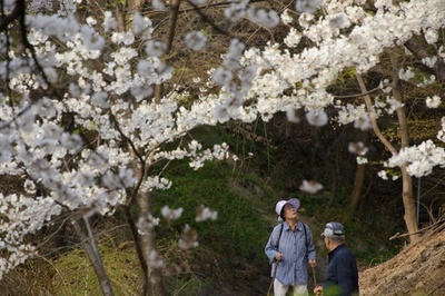 韓国人女性の平均余命、2030年までに90歳超え 英研究