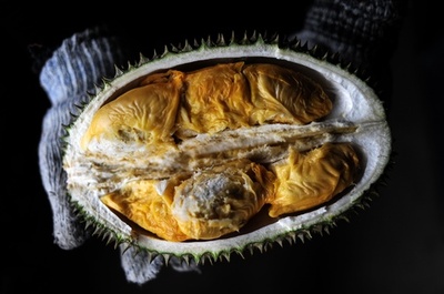 ドリアンのゲノムほぼ解読、絶滅危惧種保護にも期待 研究