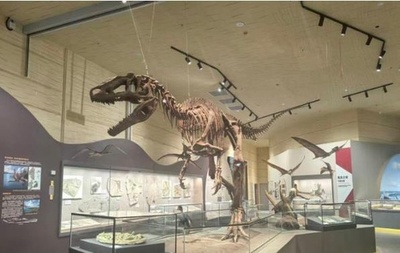 世界初の翼竜博物館 中国の新疆ハミに開館
