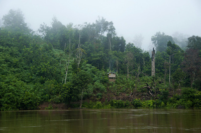 ジャングルで迷い2週間過ごす 豪人ハイカー救助、マレーシア