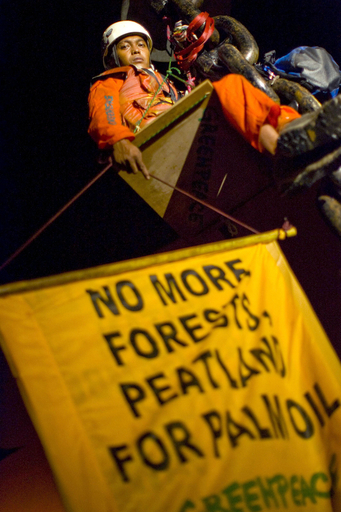 グリーンピース、インドネシアでヤシ油の積み込み作業を妨害