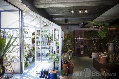 エシカルな複合型ショップ「ビオトープ」、大阪・南堀江に2号店がオープン