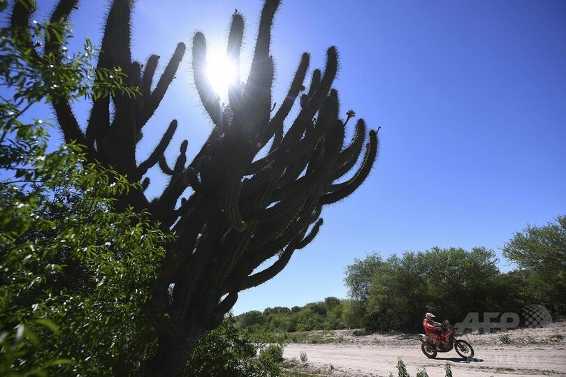 ローブが第2S制覇、総合でも首位に ダカールラリー