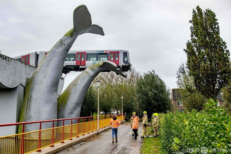危機一髪 クジラの彫刻が電車救う オランダ 写真5枚 国際ニュース Afpbb News