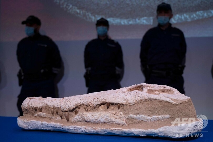 仏で発見の「大量の」考古遺物、モロッコに返還 計3トン