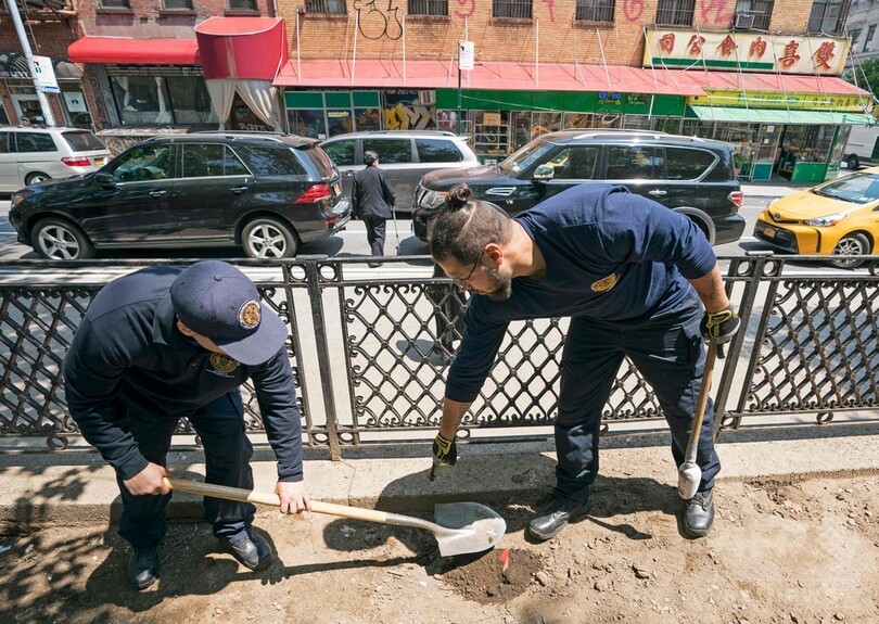 ネズミ駆除の新しい武器はドライアイス、米ニューヨーク