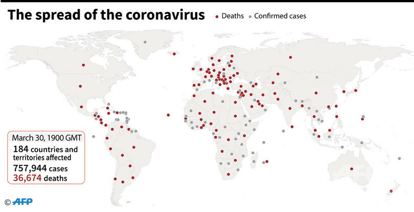 新型コロナウイルス、現在の感染者・死者数（31日午前4時時点）