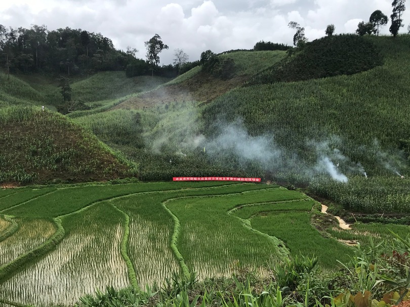 中国農業農村部 雲南省でバッタ防除の緊急演習を実施 写真2枚 国際ニュース Afpbb News