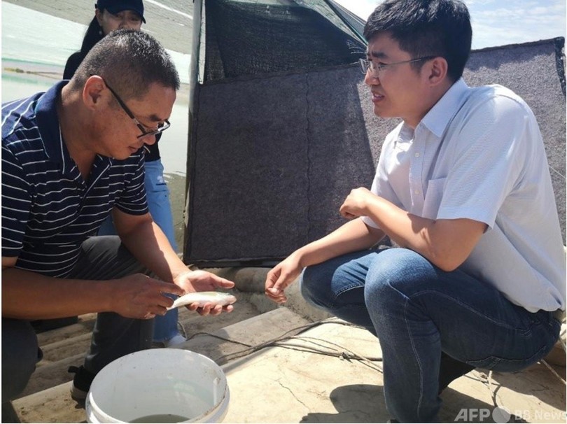 科学技術が養魚を支援、汚水処理と増収を両立させる 中国