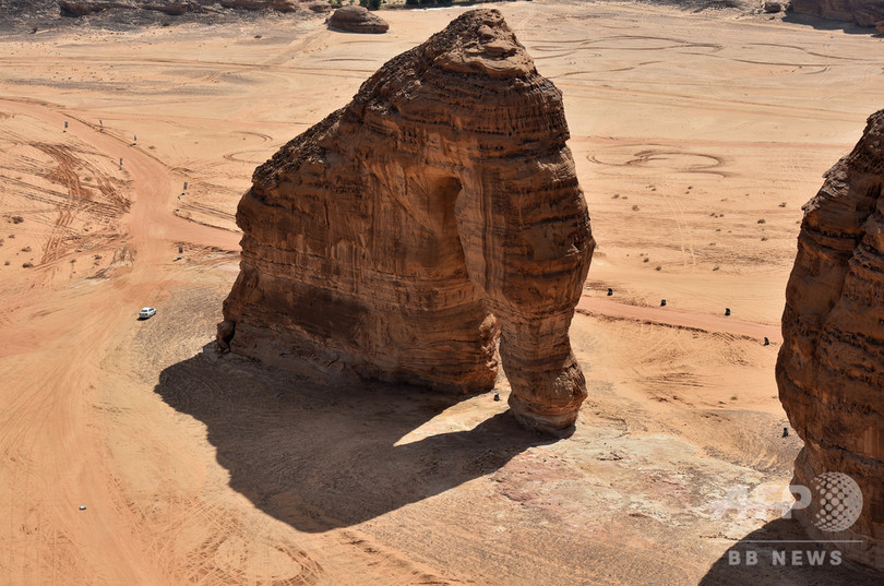 砂漠で餌をさがすゾウ サウジアラビアの巨石 写真12枚 国際ニュース Afpbb News