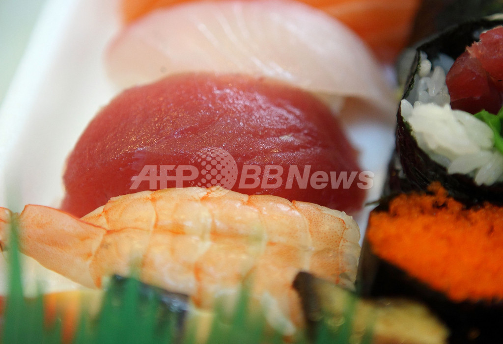 WWF地中海担当者「日本人はクロマグロ消費を控えるべきだ」 WWF地中海担当者「日本人はクロマグロ消費を控えるべきだ」
