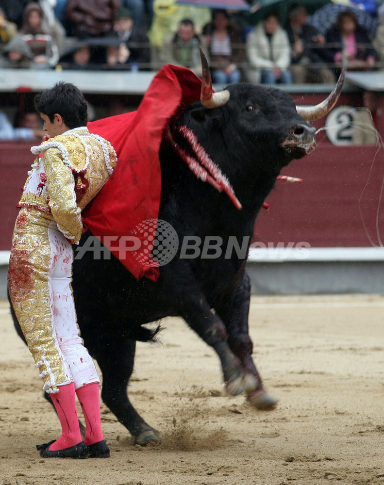闘牛士「カスティーリャ」、今シーズンのオープニングを飾る スペイン 写真4枚 国際ニュース:AFPBB News