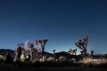 米カリフォルニア州にあるジョシュア・ツリー国立公園にオーロラを見ようと詰めかけた天体ファン。この日、オーロラは観測できなかった（2024年5月12日撮影）。(c)ETIENNE LAURENT / AFP